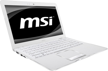 белый цвет MSI X370